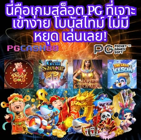 t2b bet